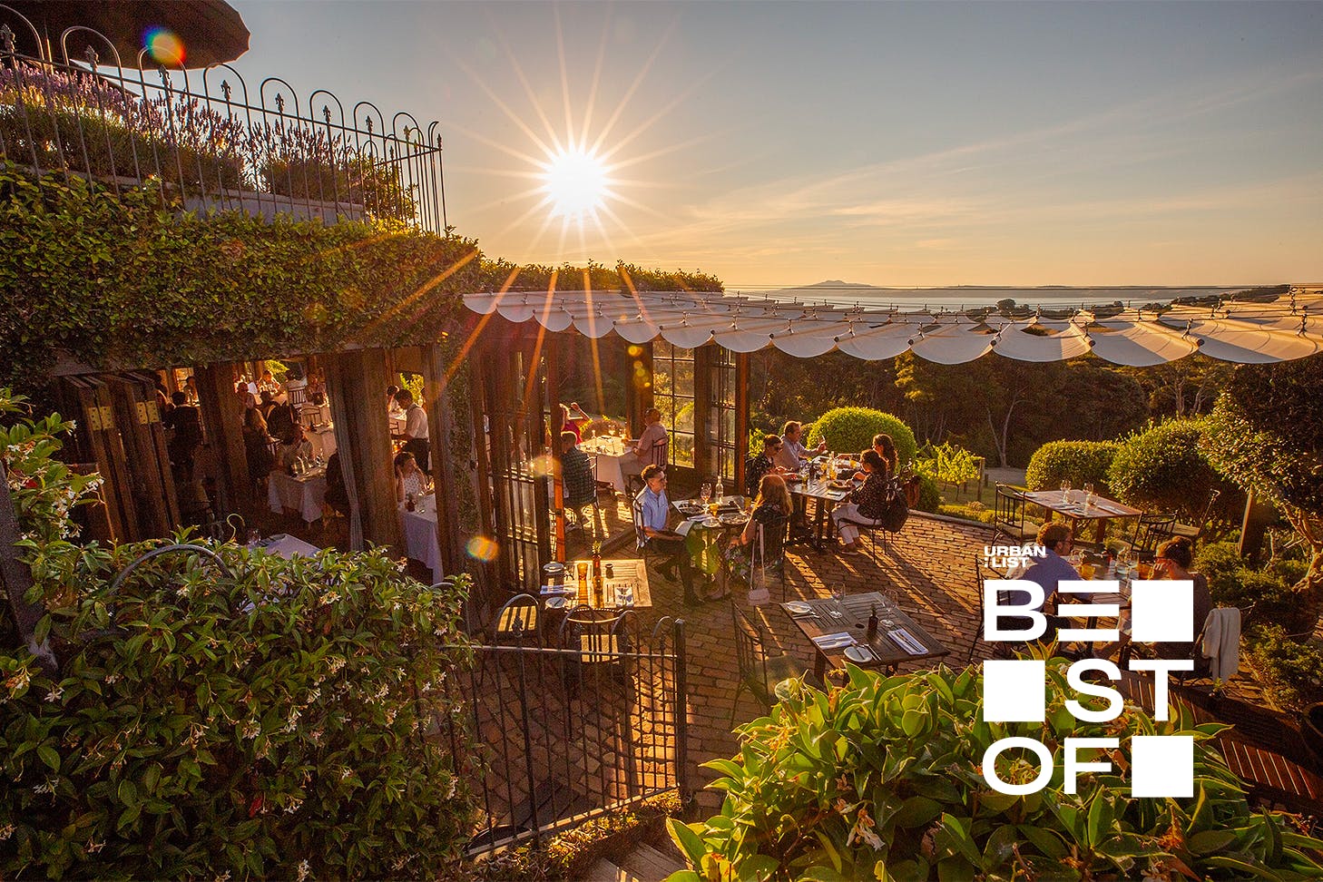 A beautiful sunset shot of Mudbrick Vineyard